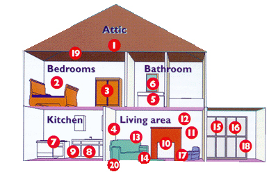 Airborne Contaminants in the Home